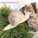 Vorschaubild Knete aus Bienenwachs glutenfrei 12 Farben