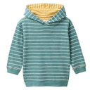 Vorschaubild Sweat Hoodie Stegosaurus