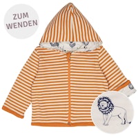 CARROT Varianten Bild