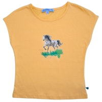 HORSE Varianten Bild