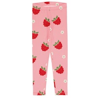 RASPBERRY Varianten Bild