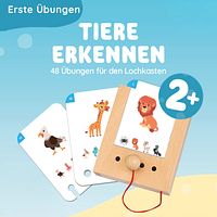 Erste Übungen - Tiere erkennen Kartensatz (ohne Lochkasten)