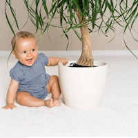 Pflanzenschutznetz 30 cm mit Kordelstopper