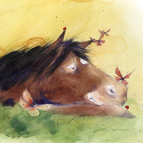 4 StoryLux Silhouetten: Hrókur und die Himmelsreiter