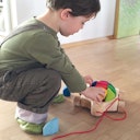 Vorschaubild Schildkröte Schiebetier mit Stecksteinen