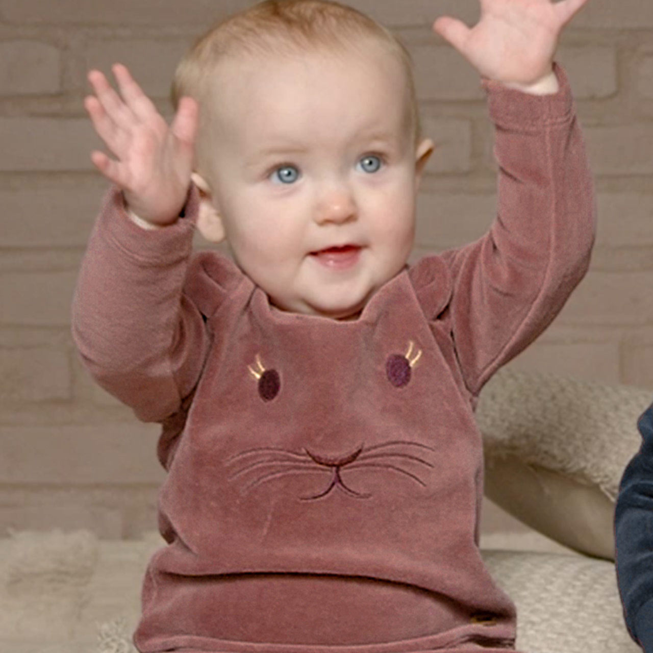 Velour Pullover Tiermotiv