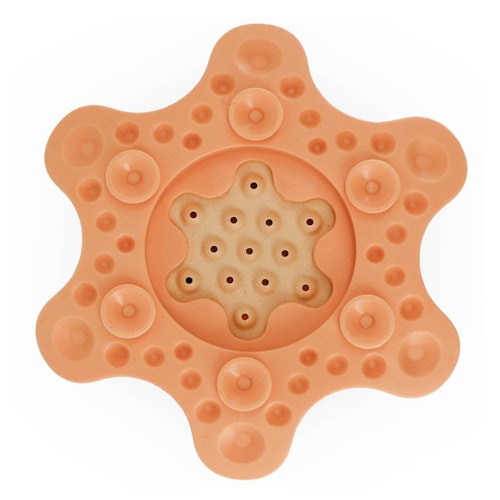 Tako der Oktopus Badespielzeug