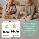 Vorschaubild Erste Schattenspiele Kartensatz (ohne Lochkasten)