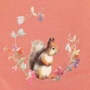 Vorschaubild Langarmshirt mit Eichhörnchen Druck