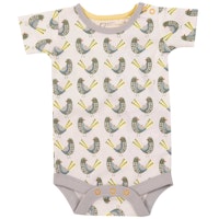 BIRDS Varianten Bild