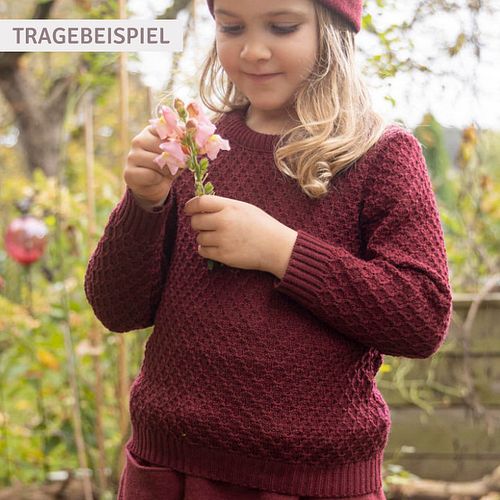 Pullover Disana Strick langarm Merinowolle