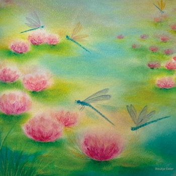 Folie Baukje Exler - Drachenflug