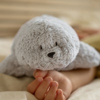 Bio Einschlafhilfe mit Sound und Licht Robbe grau