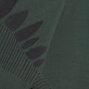 Vorschaubild Weiches Langarmshirt Dinosaurier