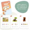 Vorschaubild Tierisches Zuhause Kartensatz ab 4 Jahren (ohne Lochkasten)