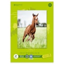 Vorschaubild Staufen Green Zeichenblock Edition Dürer – DIN A4, 18 Blatt