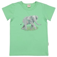 ELEPHANTS Varianten Bild