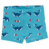 DELFIN Varianten Bild