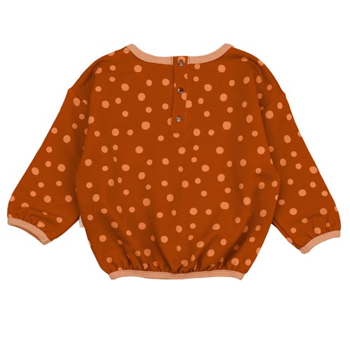 Walkiddy Sweatshirt mit Igel