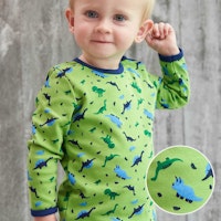 LIME Varianten Bild