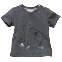 ELEFANT Varianten Bild
