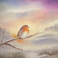Silhouette Baukje Exler - Winterrotkehlchen