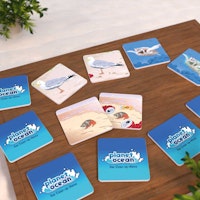 Planet Ocean- Das Clean-up-Memo ab 5 Jahren