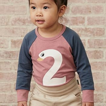 Raglanshirt langarm 2 Jahre Schwan