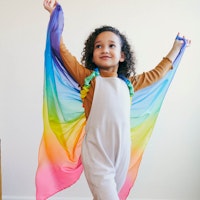 Regenbogen Feenflügel aus Seide