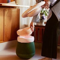 Stapelstein® Spring Special Dynamic all water lily + GRATIS Pad