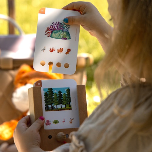 Tierisches Zuhause Kartensatz ab 4 Jahren (ohne Lochkasten)