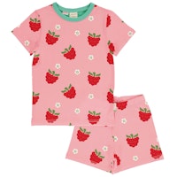 RASPBERRY Varianten Bild