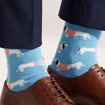 Socken Dackel hellblau