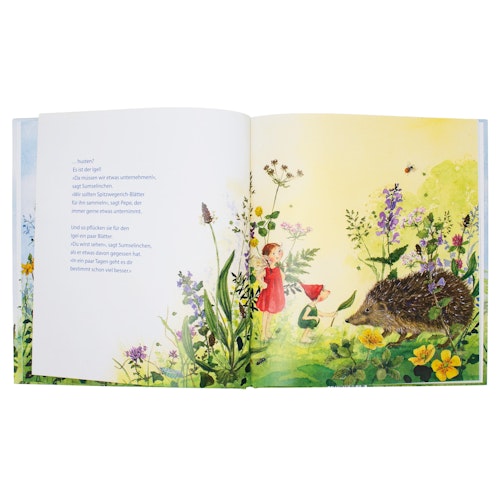 Pepe und Sumselinchen Vorlesebuch ab 3 Jahren