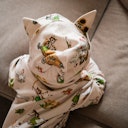 Vorschaubild Strampler langarm Zipper Pettersson und Findus Alloverprint