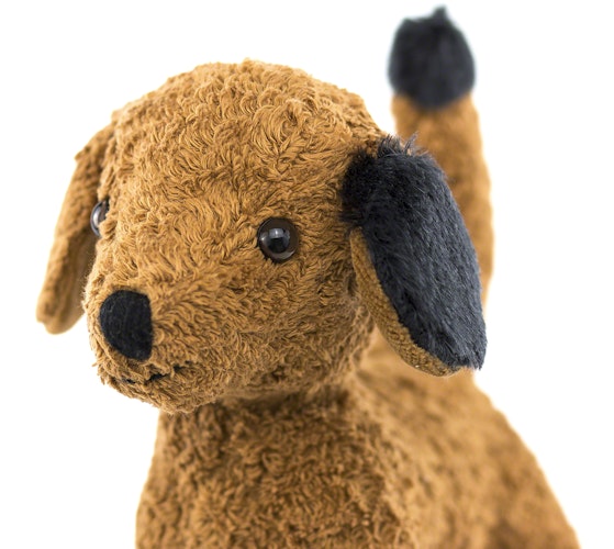 Hund, ein liebenswerter Vierbeiner