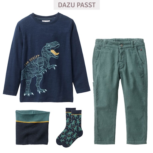 Frotteesocken Dinosaurier