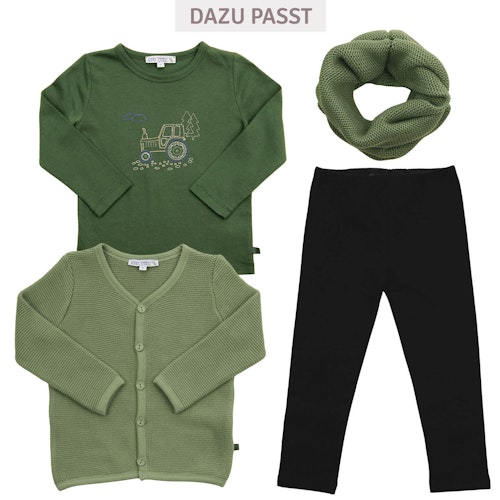 Langarmshirt Dinosaurier-Stickerei