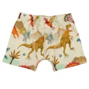 Vorschaubild Baumwoll Boxer im Doppelpack braun Dinos