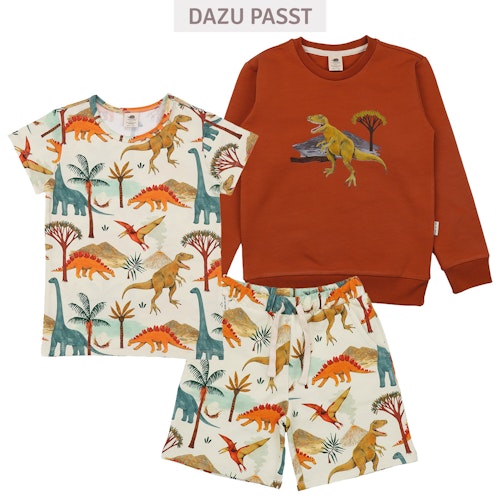 Sweatshirt Dinosaurier braun