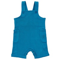 BLUE Varianten Bild