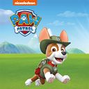 Vorschaubild PAW Patrol Tracker Hier kommt Tracker Tonie ab 3 Jahren