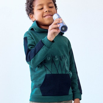 Sweat Hoodie Stegosaurus tannengrün