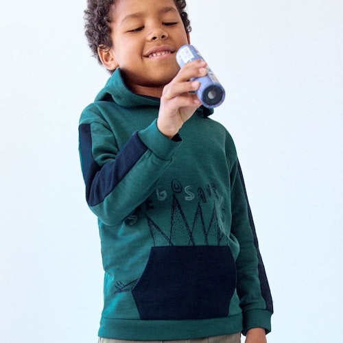 Sweat Hoodie Stegosaurus