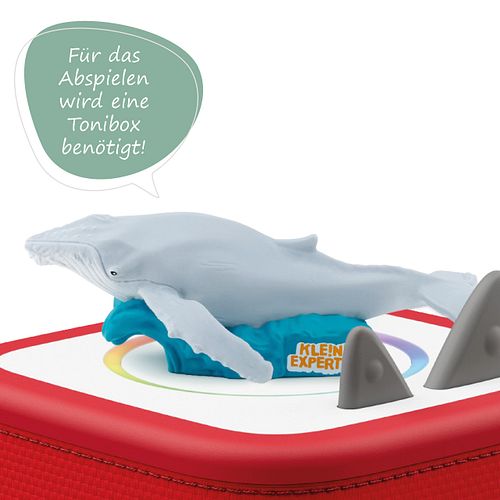 Kleine Experten Wale Tonie ab 3 Jahren