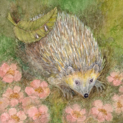 Im Wald Leporello-Buch ab 6 Monaten