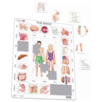 Lernpuzzle Anatomie für Kinder ab 6 Jahre