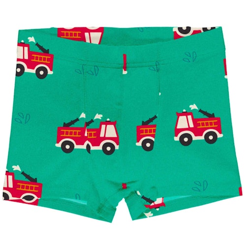 Boxershorts Löwe