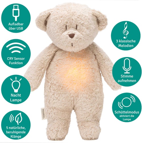 Der Bio-Summbär mit Lampe sand