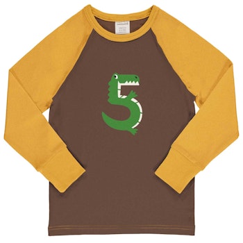 Raglanshirt langarm 5 Jahre